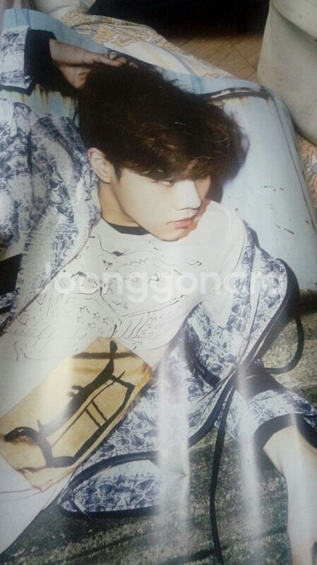 성규 포스터 인피니트 포스터 아이유 포스터 뉴이스--5
