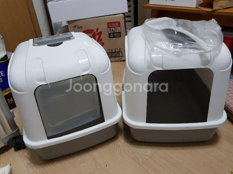 고양이 화장실--0