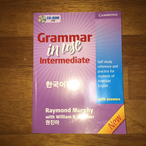 Grammar in use Intermediate