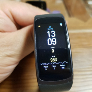 Galaxy Gear Fit 2