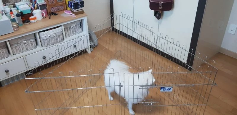 강아지 울타리 이미지