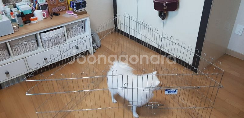강아지 울타리--0