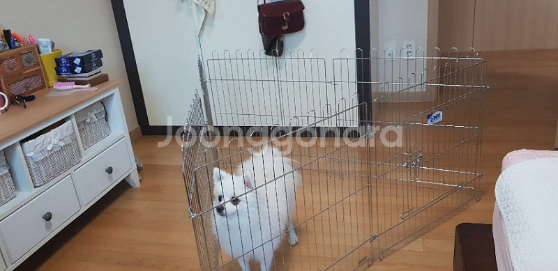 강아지 울타리--1