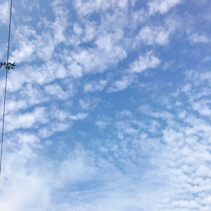 롯데상품권 10만원 2장 팝니다