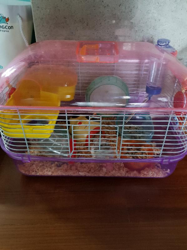 (드림) 햄스터 및 케이지 모두 드려요--0