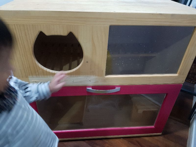 캣타워&원목화장실 10만원--1