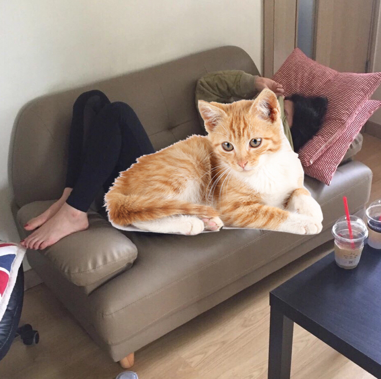 2인용 쇼파 / 2인 쇼파 / 2인용 소파 / 2 이미지