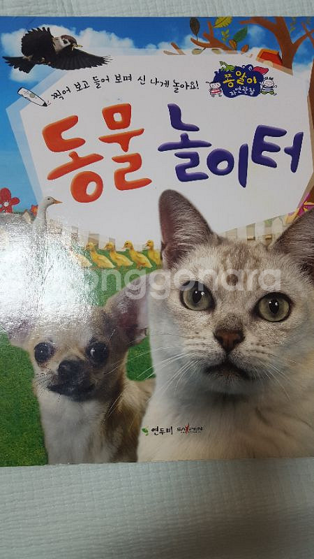 쫑알이 자연관찰--2