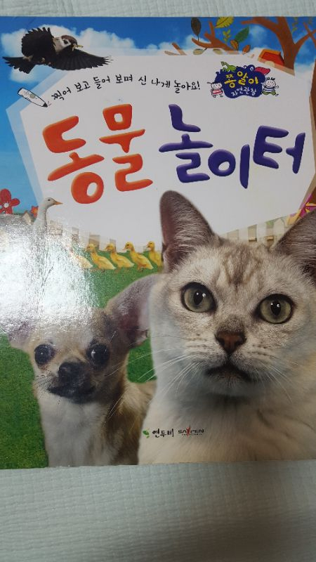 쫑알이 자연관찰 이미지