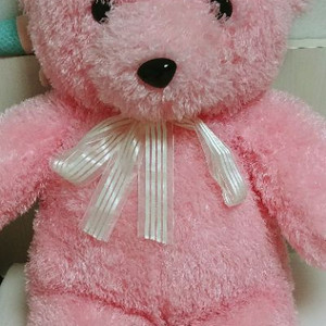 핑크 중형 곰인형