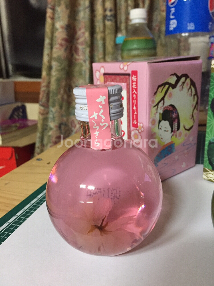 사쿠라 사라사라 & 말차 라떼 (낱개 판매)--1