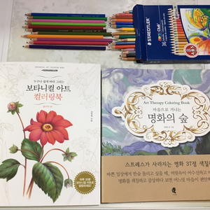 컬러링북(꽃, 명화) 두권+스테들러 36색 색연필