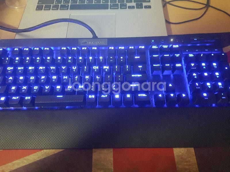 커세어 k70적축 블루led--0