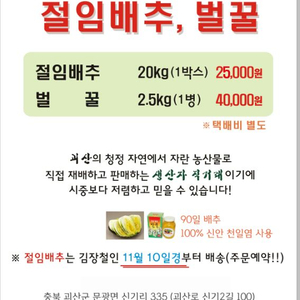 괴산 절임배추 판매합니다/ 20kg 1상자 30,