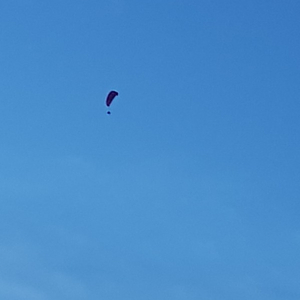 구글결재팝니다