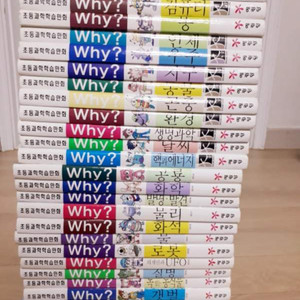 Why 26권