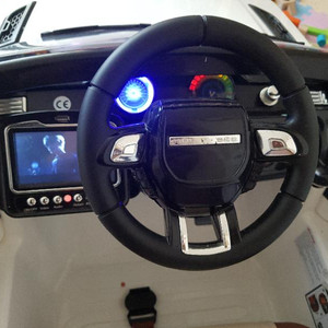 전동차 이보크 레인지로버 팜 하나토이즈