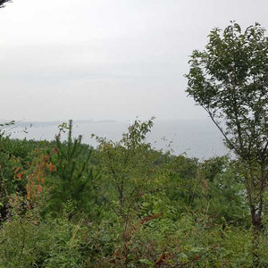 문화상품권 5000원