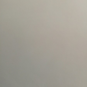 책