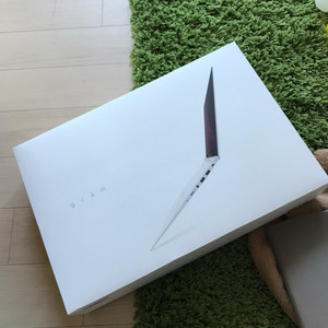 LG 올데이그램 15ZD970-GX50K