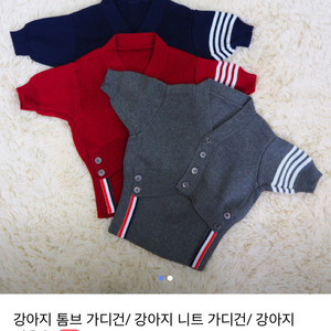 강아지 톰브라운 니트