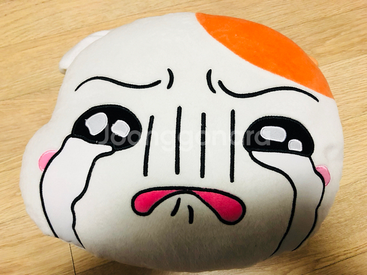 에비츄얼굴 배개--0