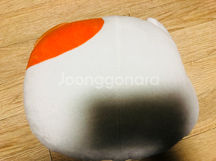 에비츄얼굴 배개--1