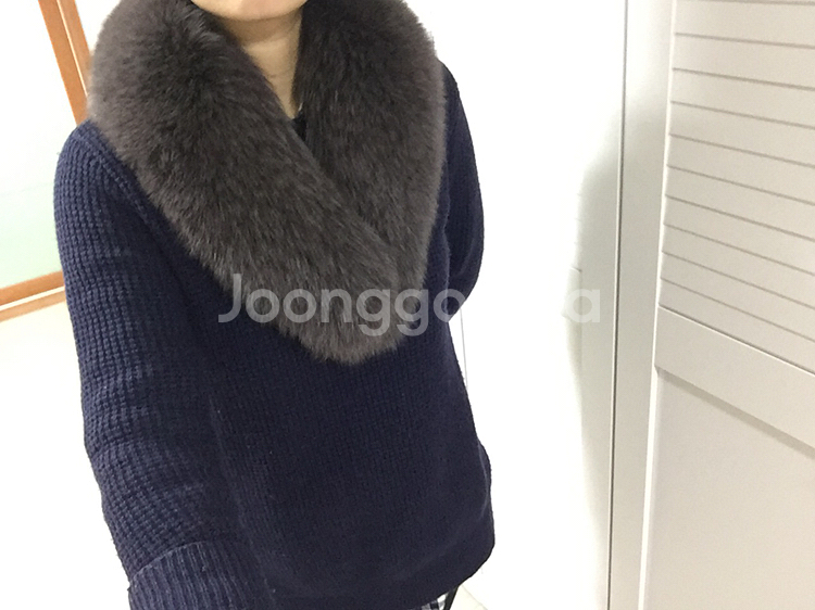사가 폭스퍼--3