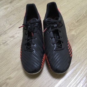 프리데터 리셀존 250 택포2만원