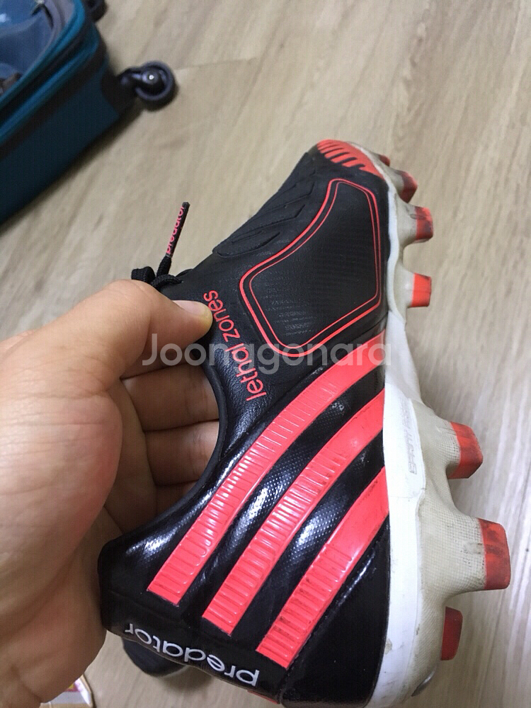 프리데터 리셀존 250 택포2만원--1