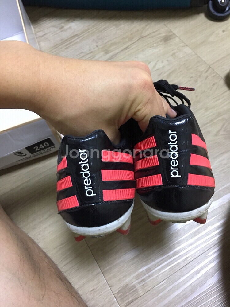 프리데터 리셀존 250 택포2만원--2