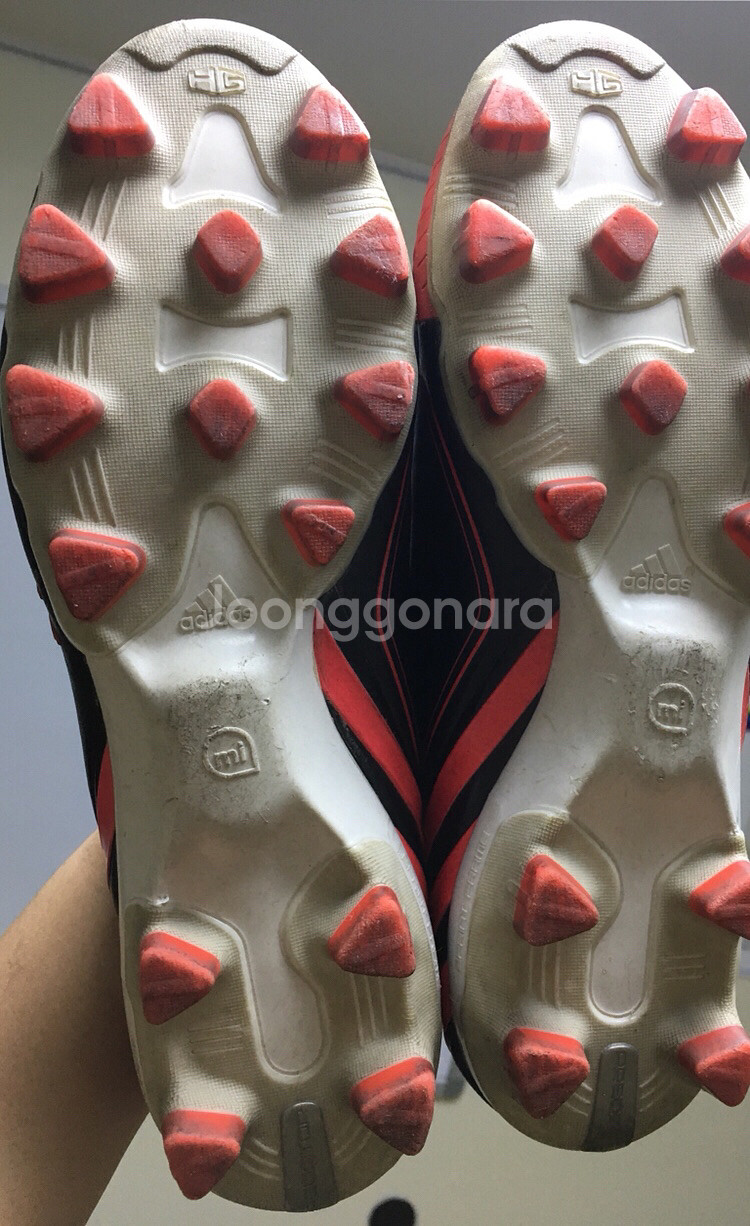 프리데터 리셀존 250 택포2만원--6