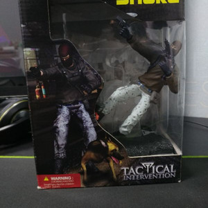 TACTICAL INTERVENTION Terro