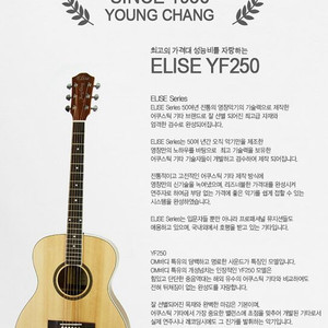 영창 Elise YF250 통기타 팝니다. 가격내