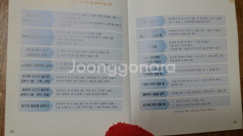 비알큐(뇌호흡)--5
