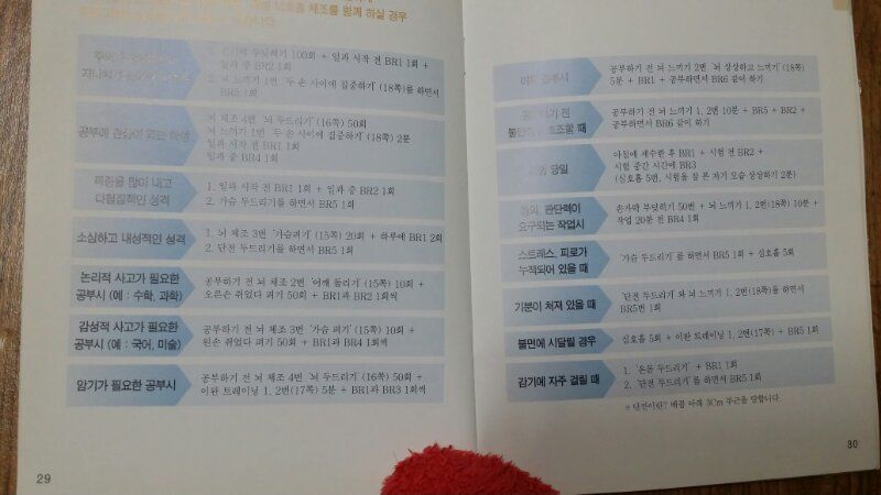 비알큐(뇌호흡) 이미지