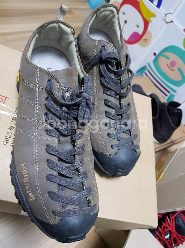 *라퓨마  *260 * 황금 싸이즈  *26000--0