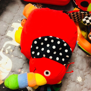 애플비 촉감인형