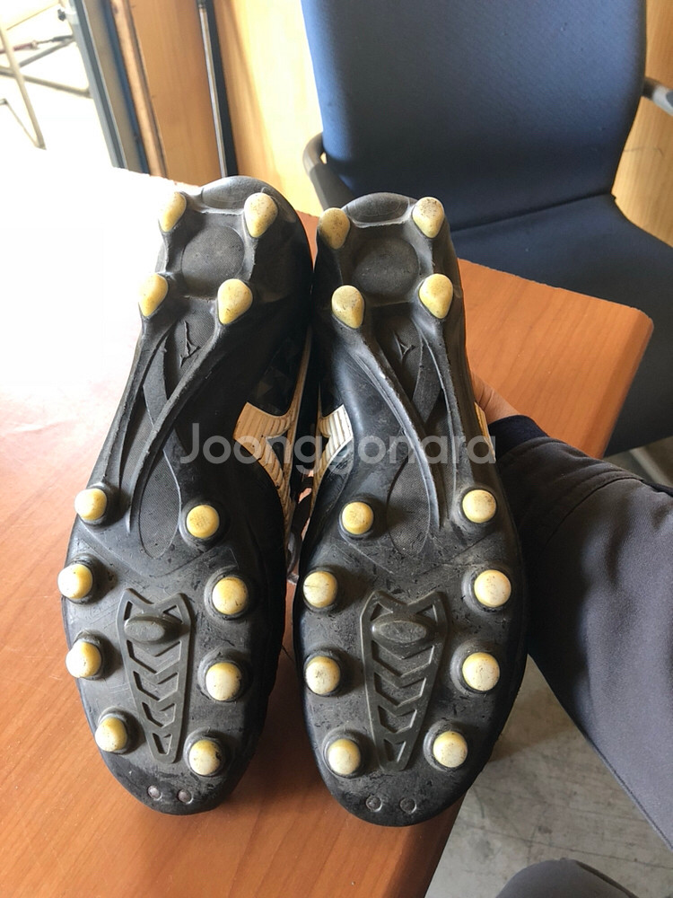 미즈노 모렐리아네오--4