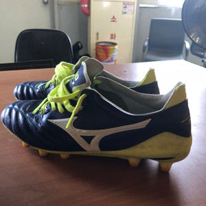 미즈노 모렐리아네오