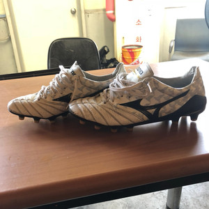 미즈노 모렐리아네오