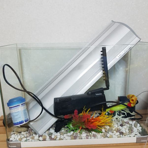 어항세트 팔아요