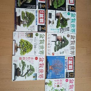 일본 분재잡지 판매(분양)