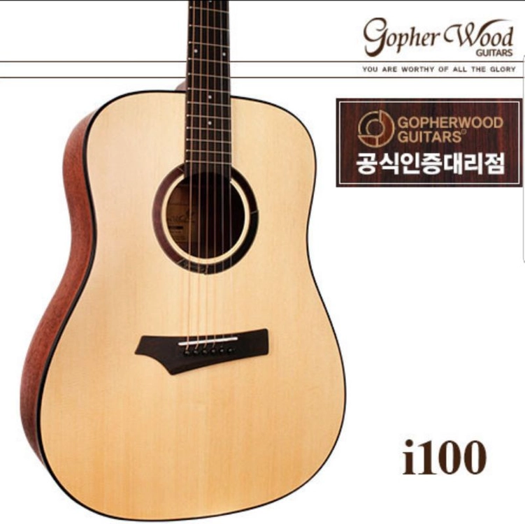 고퍼우드 i100 팝니다 이미지