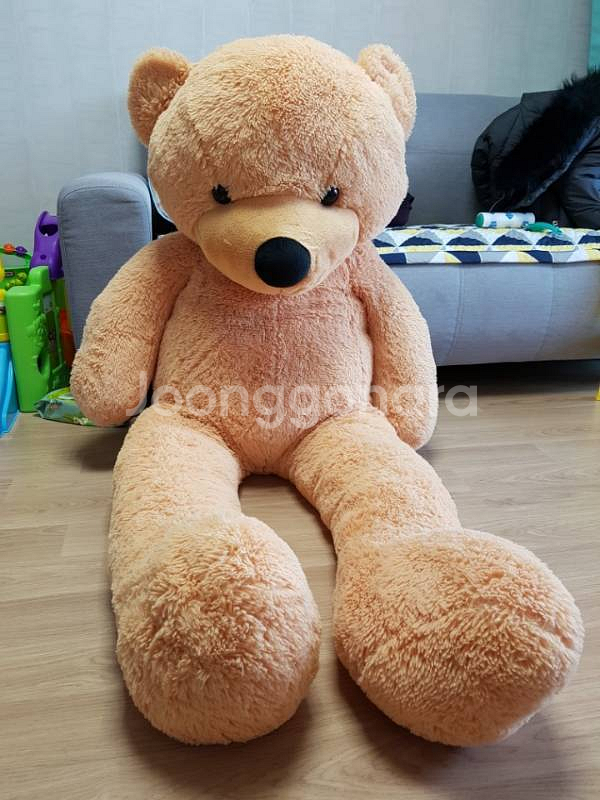 곰인형--0