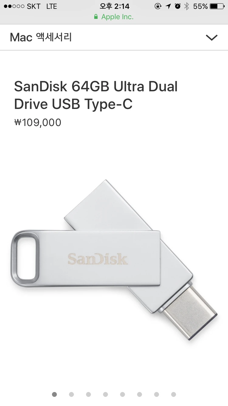 San Disk 64GB USB 이미지