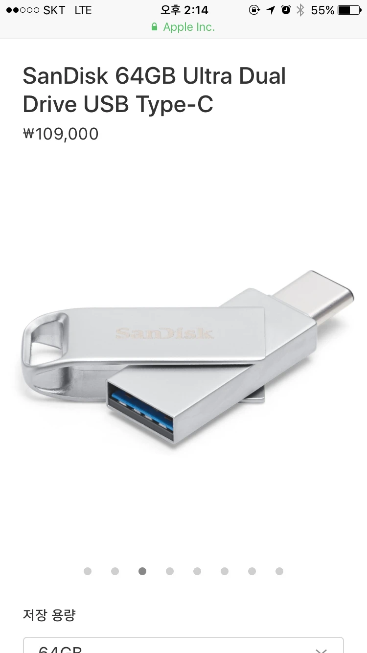 San Disk 64GB USB 이미지