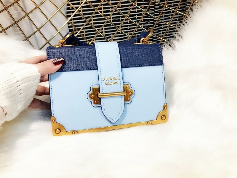 프라다 카이에 이미지