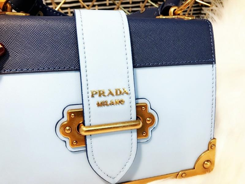 프라다 카이에 이미지