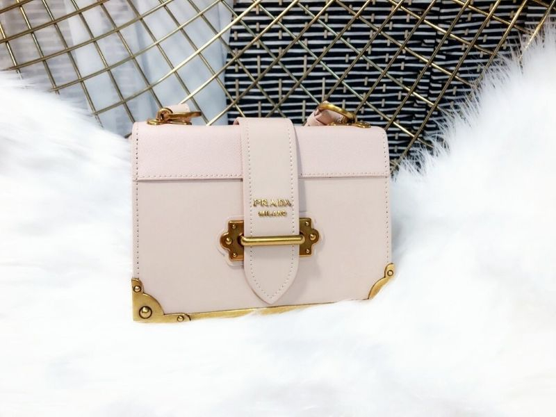 프라다 카이에 이미지